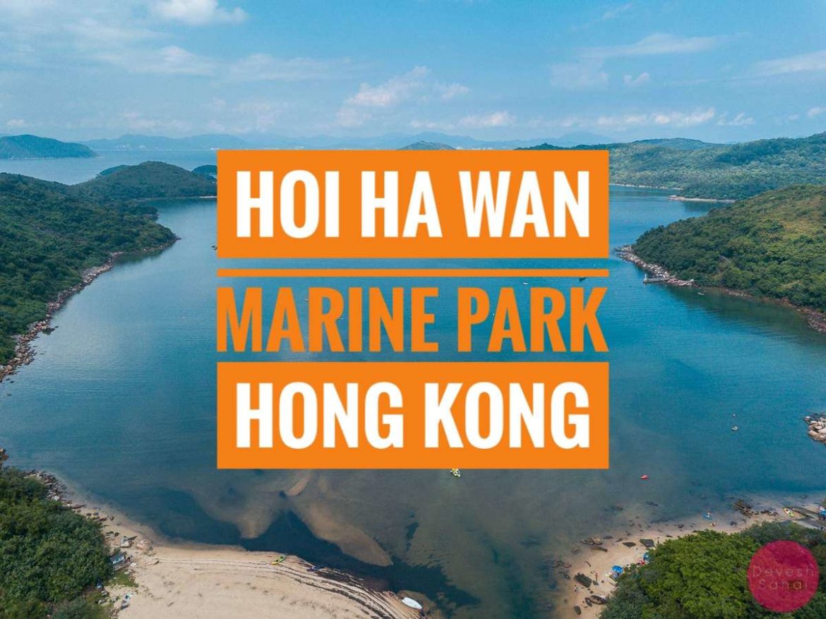 Serunya Snorkeling Di Hoi Ha Wan Marine Park Hong Kong