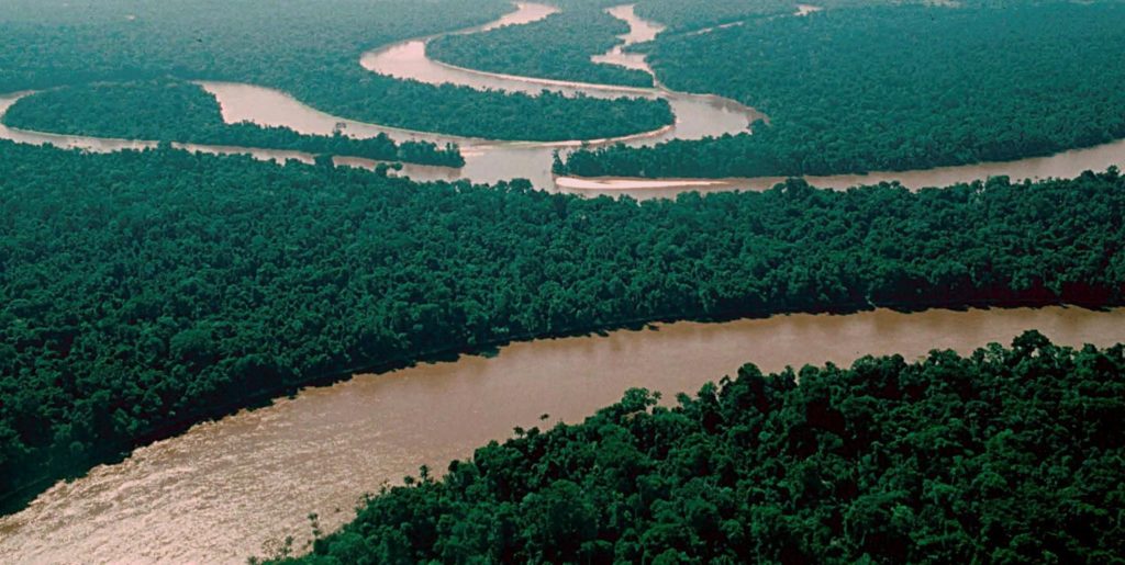 Hutan Amazon, Hutan Yang Masuk Kedalam Keajaiban Alam Dunia