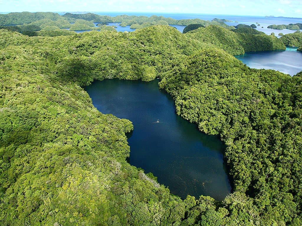 Keindahan Danau Ubur Ubur Di Pulau Kakaban Indonesia