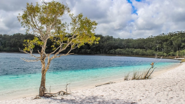 Pulau Fraser – Permata Tersembunyi Di Australia Yang Penuh Dengan Keajaiban Alam